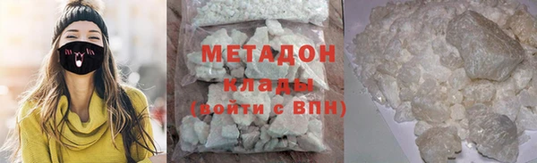 прущие грибы Аркадак