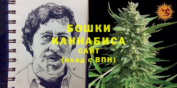 прущие грибы Аркадак