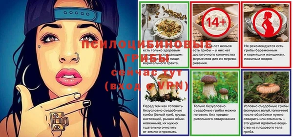 трава Арсеньев